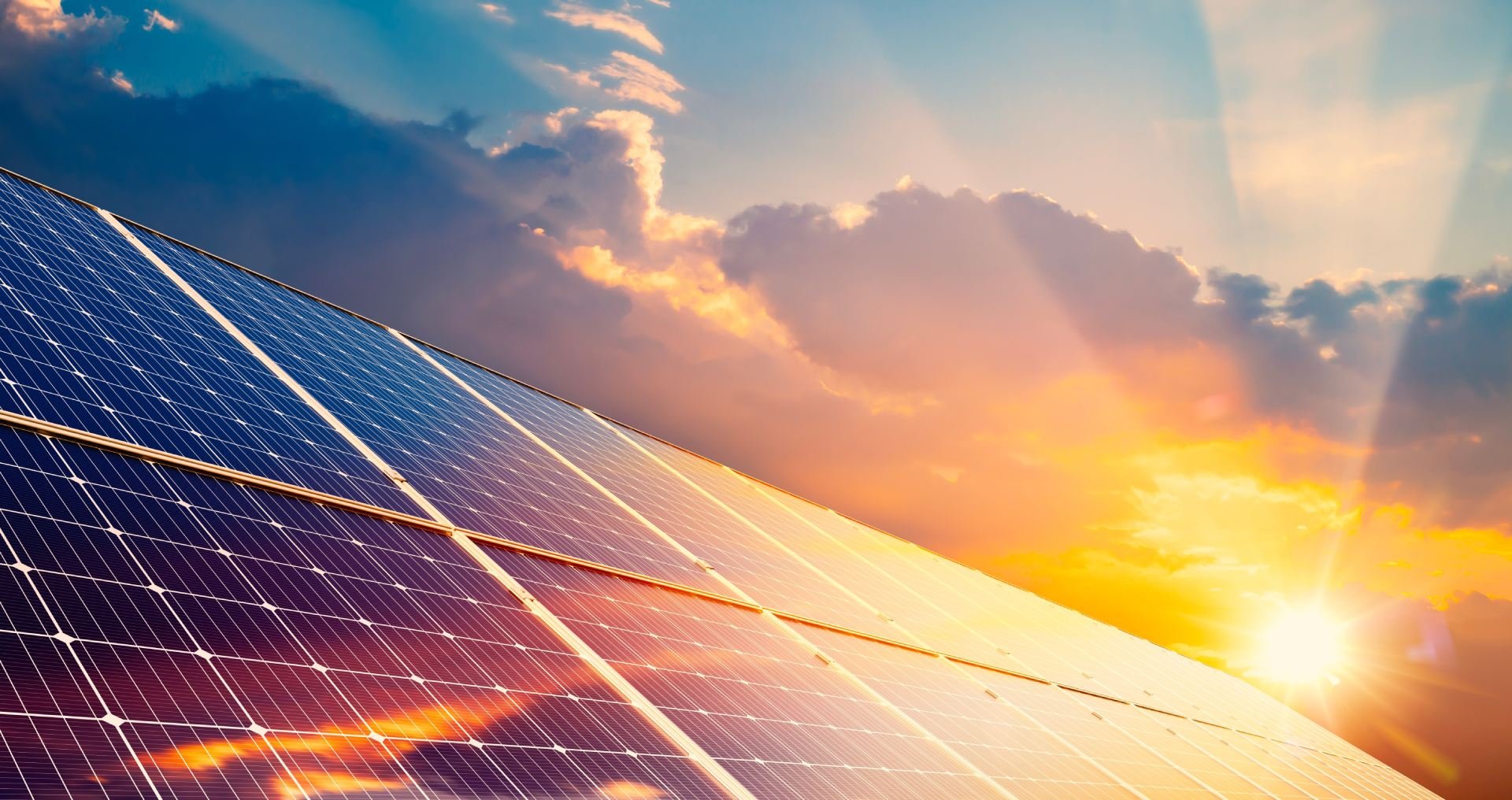 shutterstock_2343501479-1 shutterstock_2343501479-1